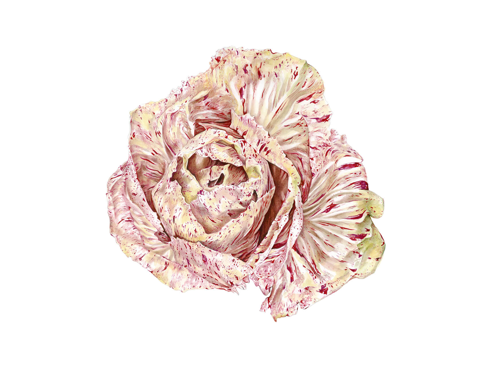 Artwork by Molly Reeder, Watercolours, Painting Holidays France.