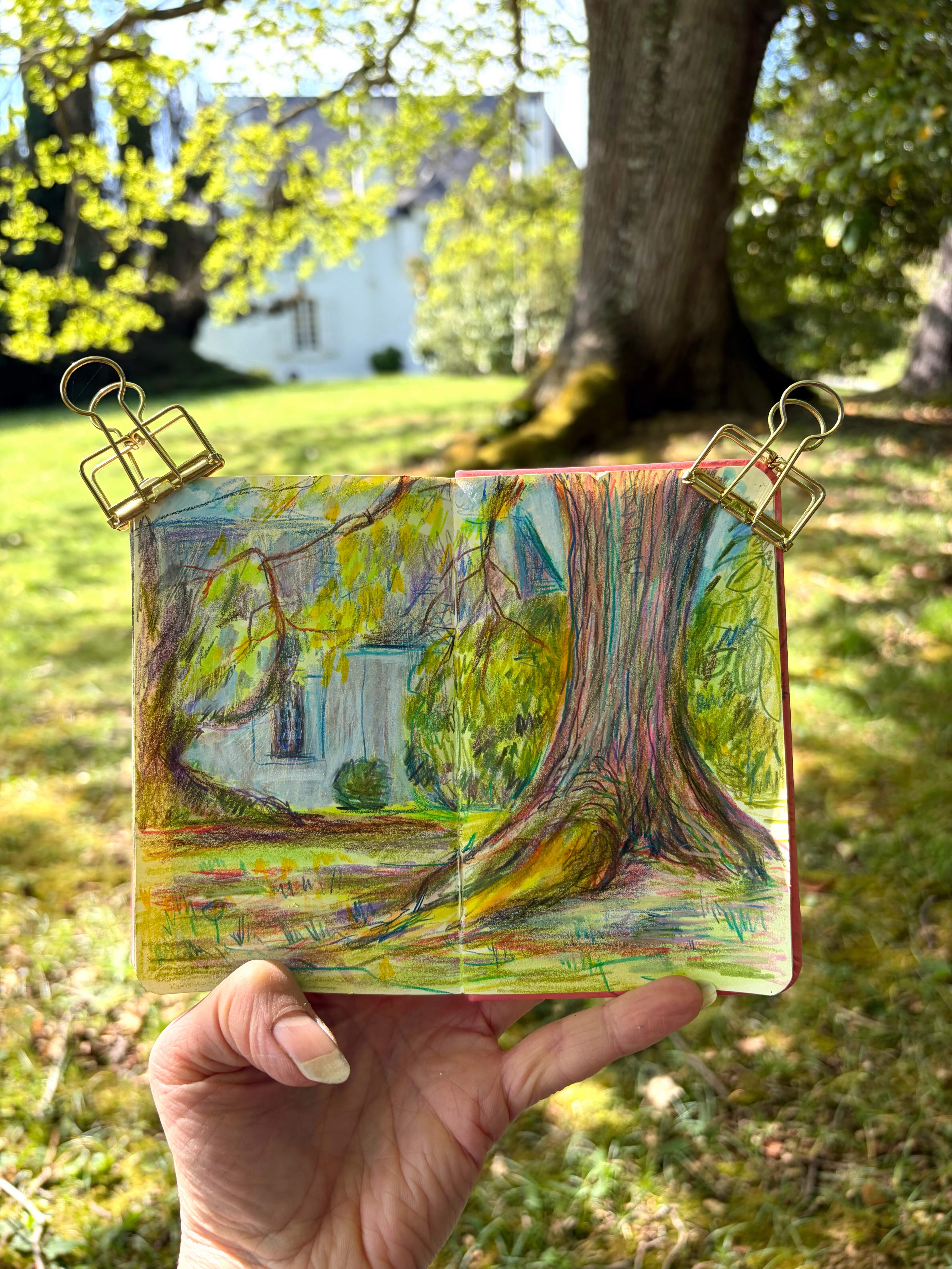 Sketch and photo of tree and house by artist Sam Marshall.