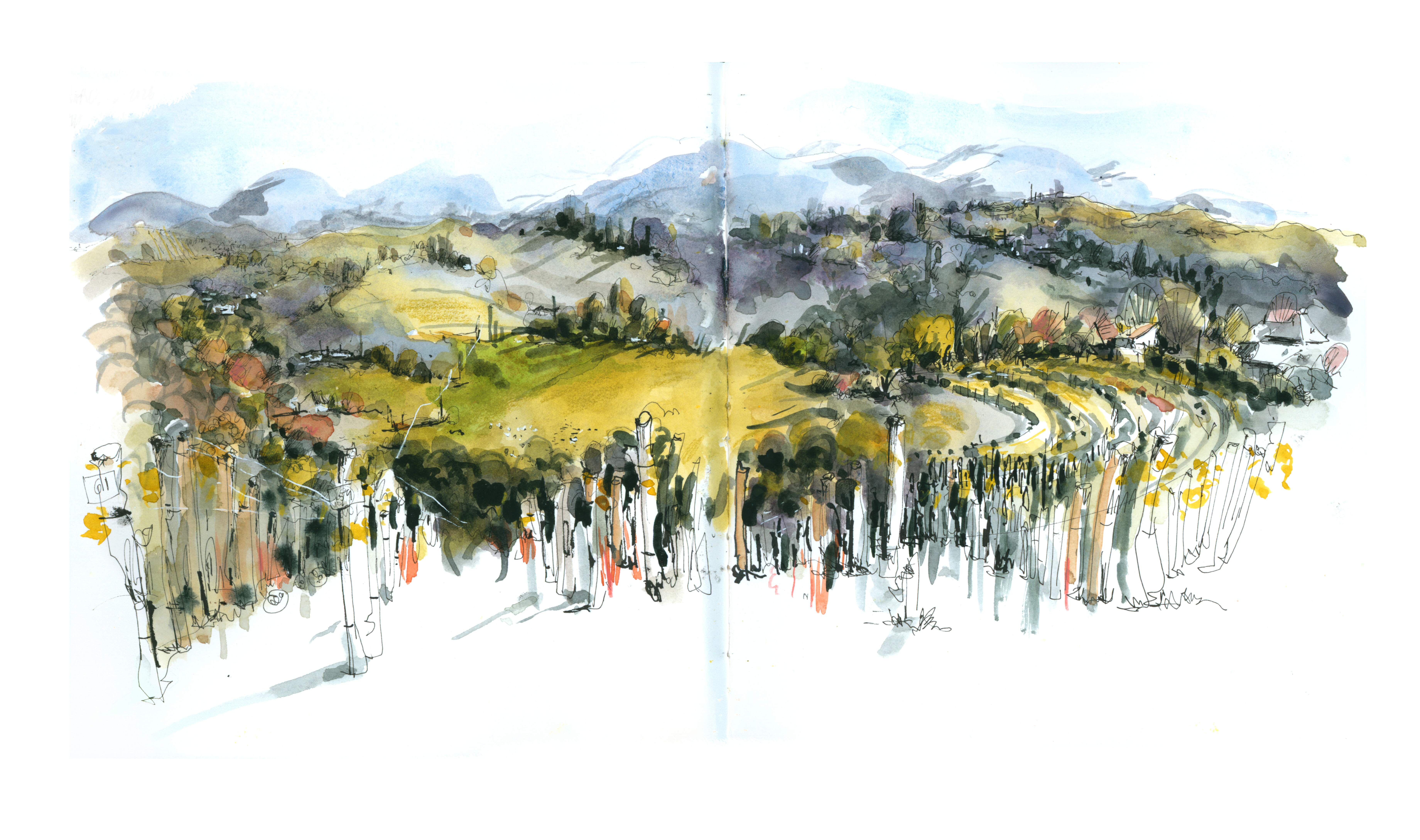 Illustration of landscape at Clos Mirabel by urban sketcher Rita Sabler.