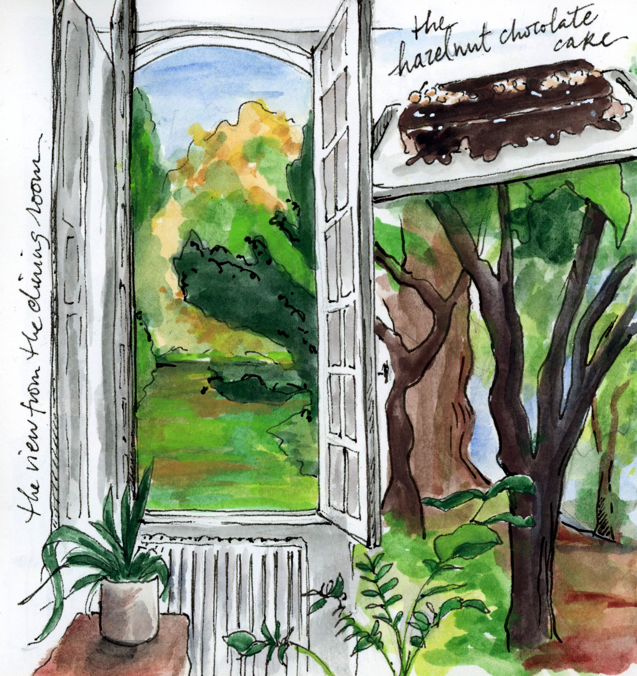 View from dining room.