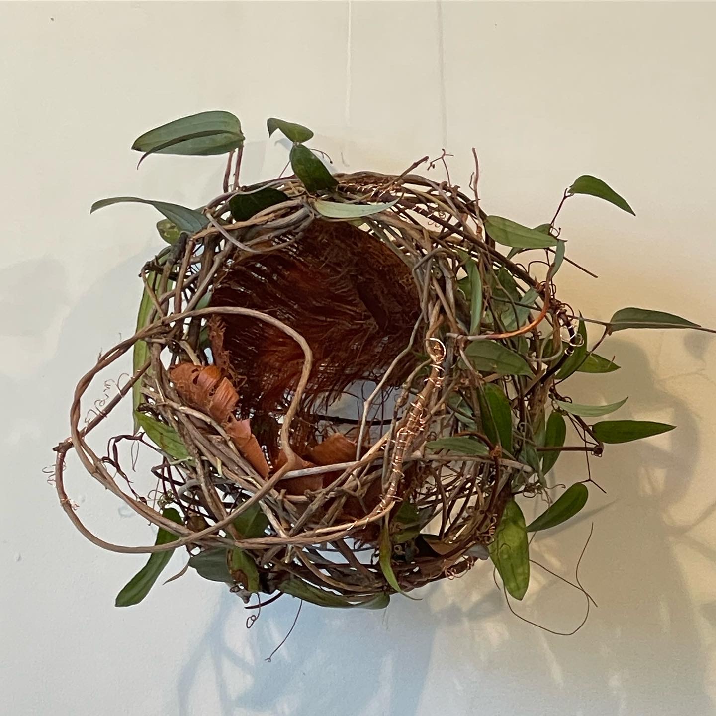 Woven basket with leaves by sculptural baskery artist Catriona Pollard.