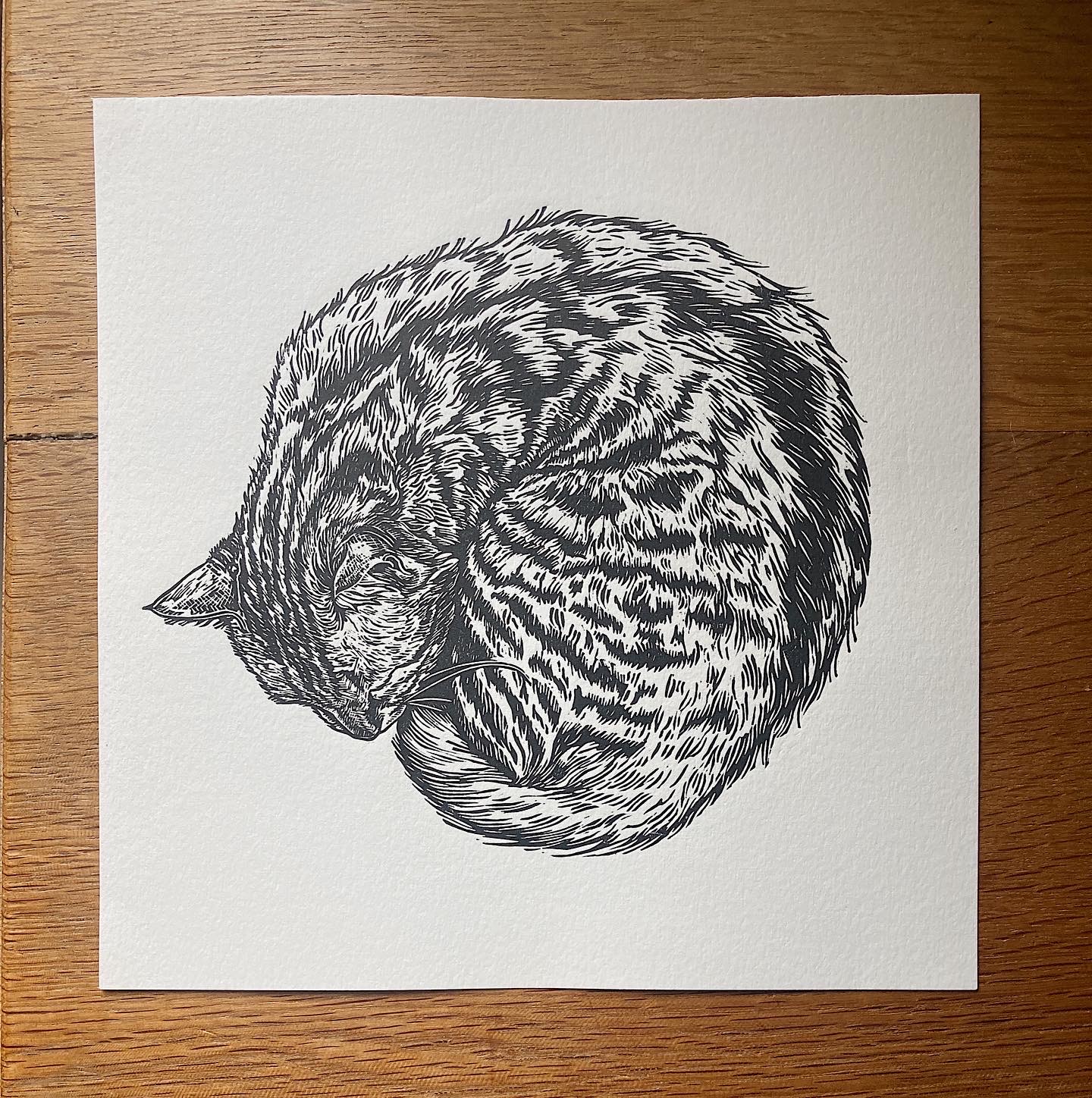 Lino print in black and white of a sleeping cat.
