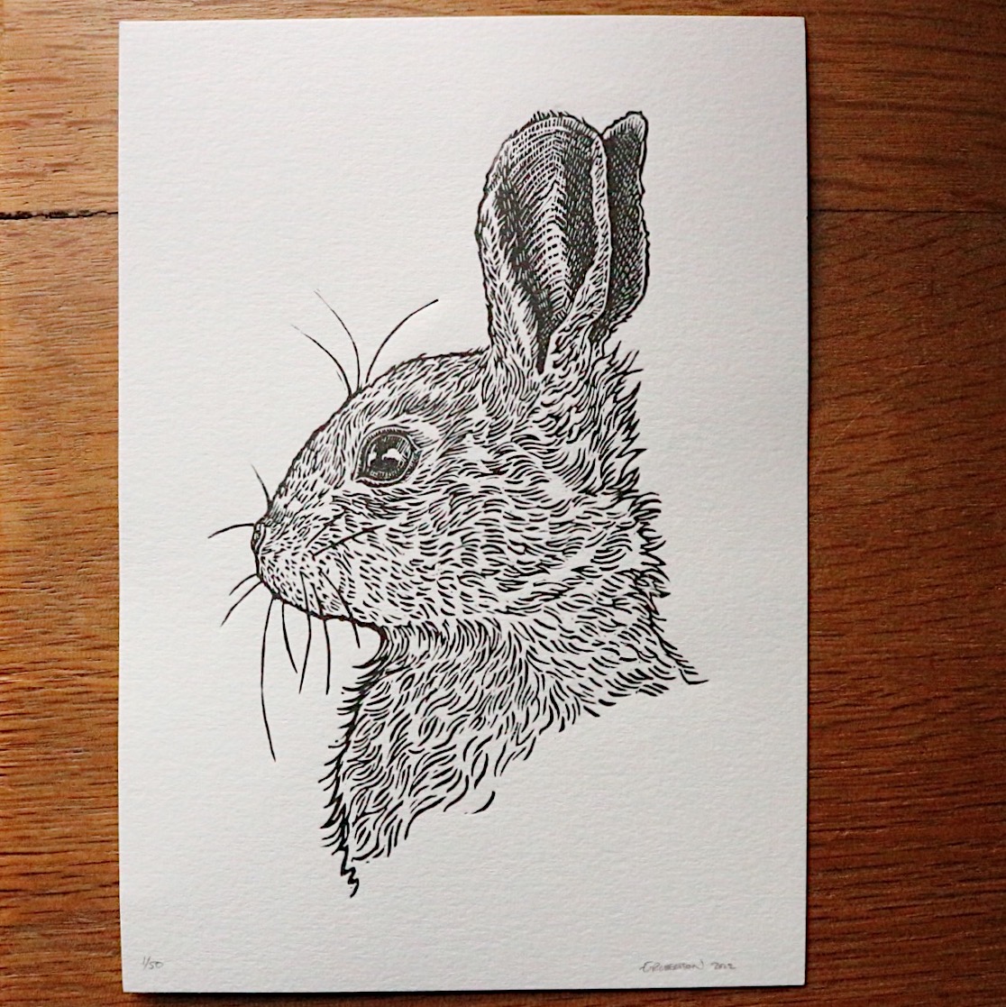 Lino print of a rabbit, black on white by Lino print artist and tutor Emily Robertson.