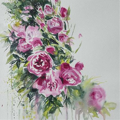 Roses at Clos Mirabel by artist Ali Hargreaves.