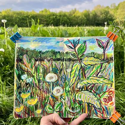 Meadow by tutor Sam Marshall for creative retreats in South West France.