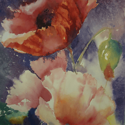 Watercolour painting of poppies by Jude Scott.