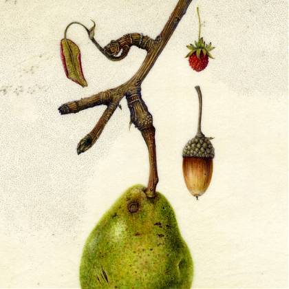 The portrait of this tutor.