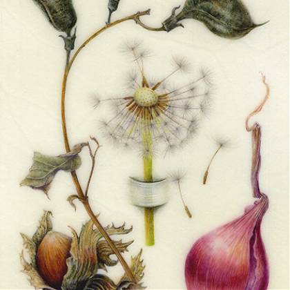 Botanical autumnal composition by Denise Walser Kolar.