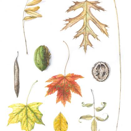 The portrait of this tutor.