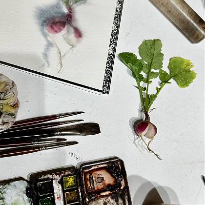 Painting composition - Wendy Artin radishes.