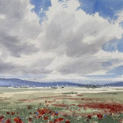 Landscape with poppies - watercolour by artist and tutor Barbara Hirsekorn.