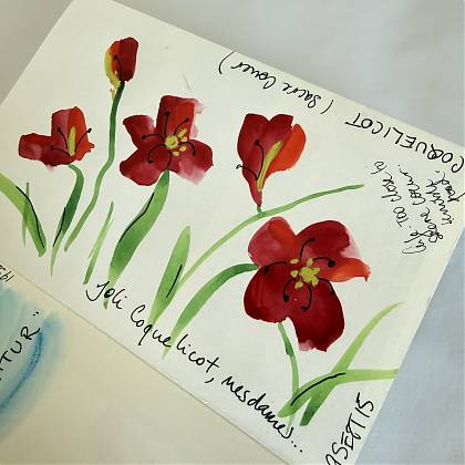 Red petals - Sam Hunter - journal illustration.