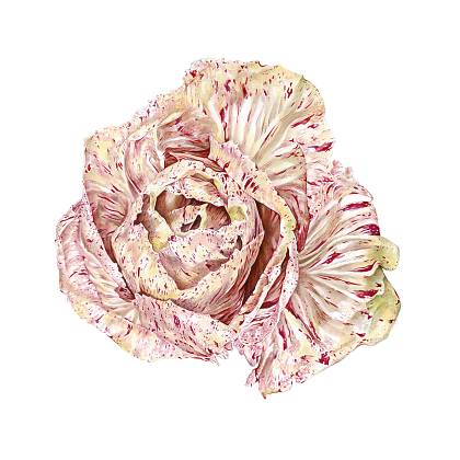 Artwork by Molly Reeder, Watercolours, Painting Holidays France.