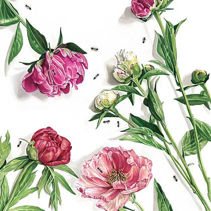 The portrait of this tutor.