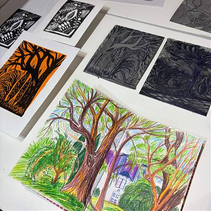 Artwork, sketches and lino print of trees. 