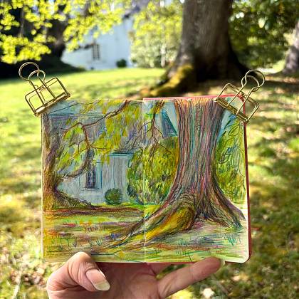 Sketch and photo of tree and house by artist Sam Marshall.