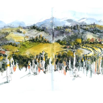 Illustration of landscape at Clos Mirabel by urban sketcher Rita Sabler.