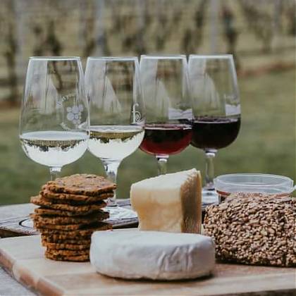 Four glasses of Jurancon wine and Pyrenean cheese with crackers.