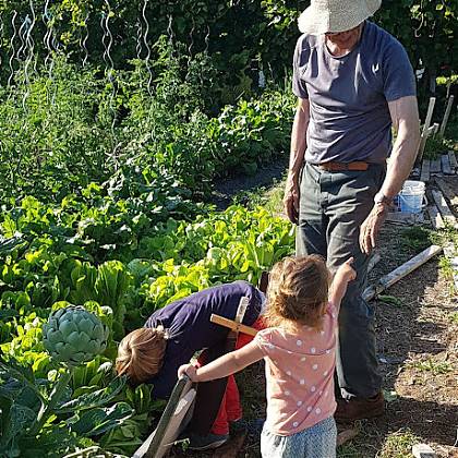 Permaculture garden at Clos Mirabel, vegetables growing, man in hat with two children.