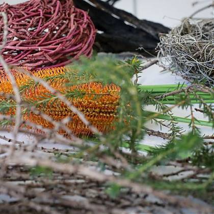 Colourful organic materials - vines and branches for basketry course with Catriona Pollard.