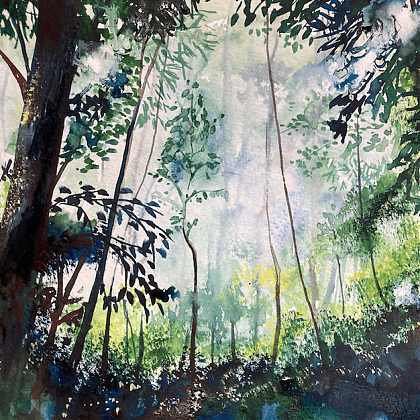 Watercolour painting in green tones of a woodland scene with trees by painting holiday tutor Alison Hargreaves.