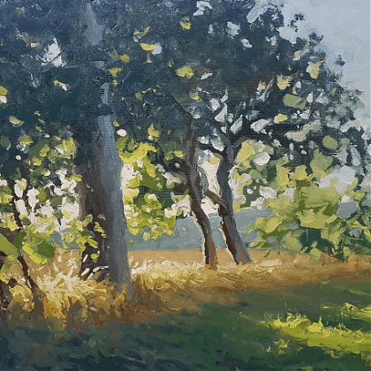 Painting of three trees at the edge of a field by artist Jenny Aitken.