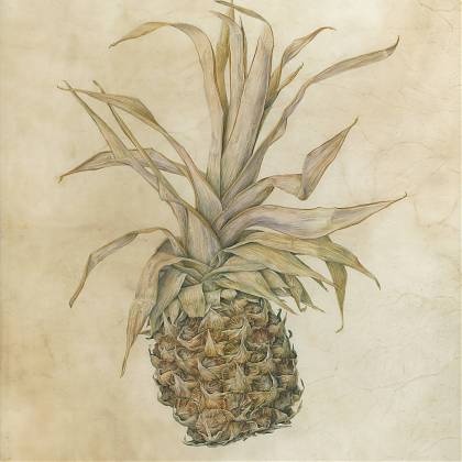 Pineapple by artist Julia Trickey tutor Atelier Clos Mirabel France.